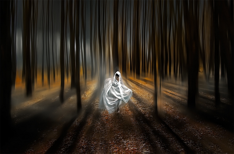 997 - BOSQUE ENCANTADO - ARGANARAZ MARIO GUSTAVO - argentina.jpg